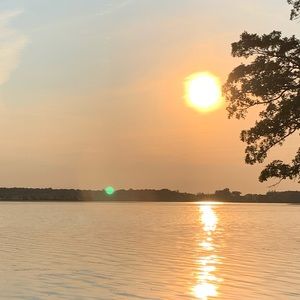 Meet your Posher, Alisa